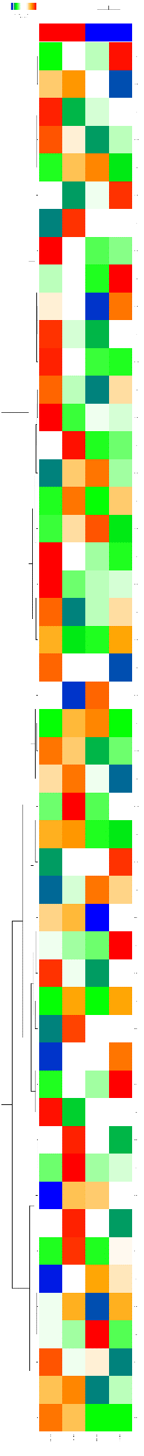 _images/6f1d8050b52218f11a4eeeb66bec01e2.png