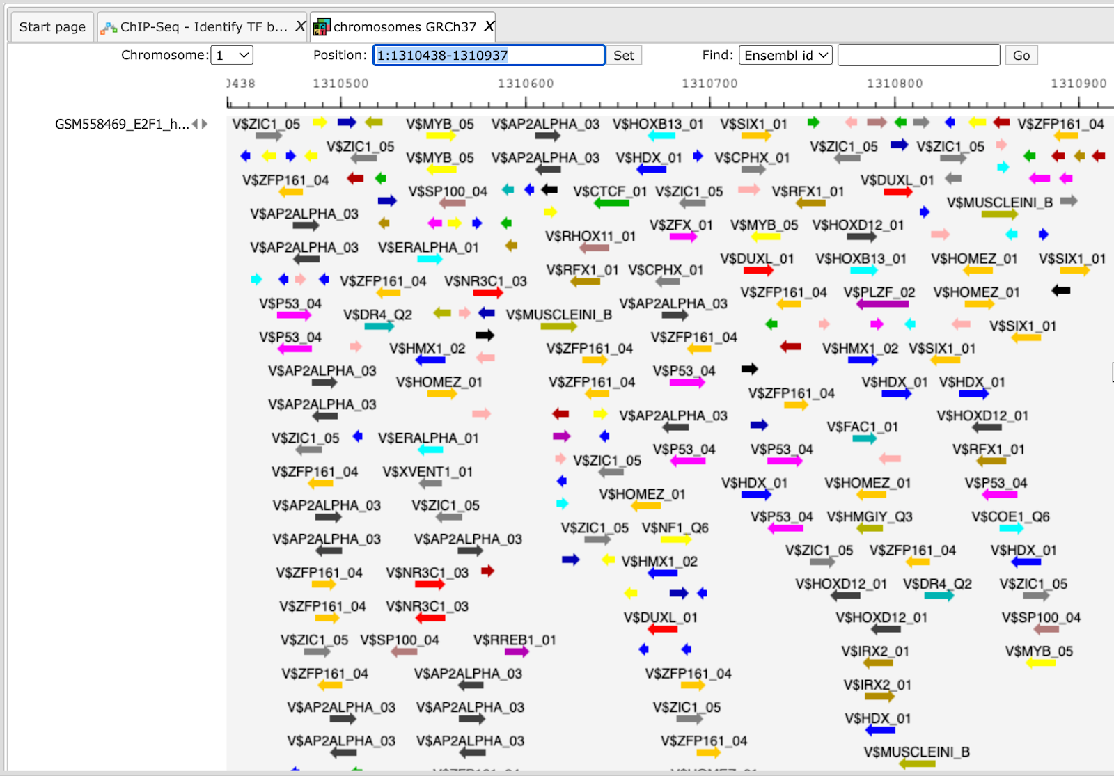 _images/chip_seq19.png