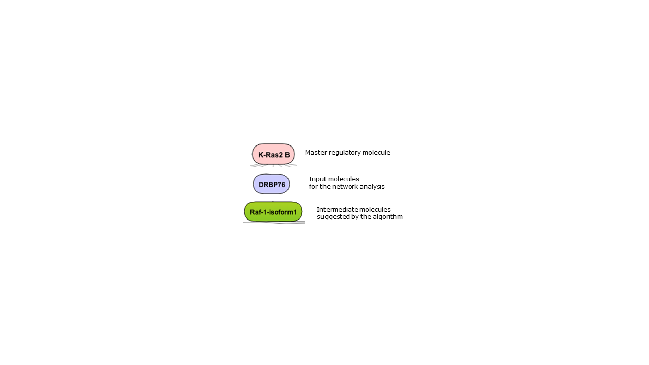 _images/image033.png