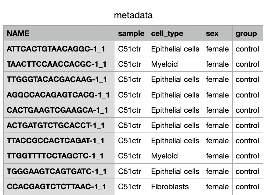 _images/metadata_example.png
